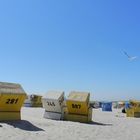 Strandkörbe auf Langeoog