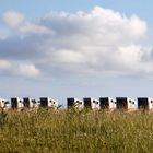 Strandkoerbe auf Norderney