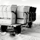 Strandkörbe bereit für den Winterschlaf