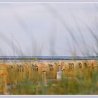 Strandkörbe in Burgstade Fehmarn