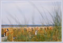 Strandkörbe in Burgstade Fehmarn