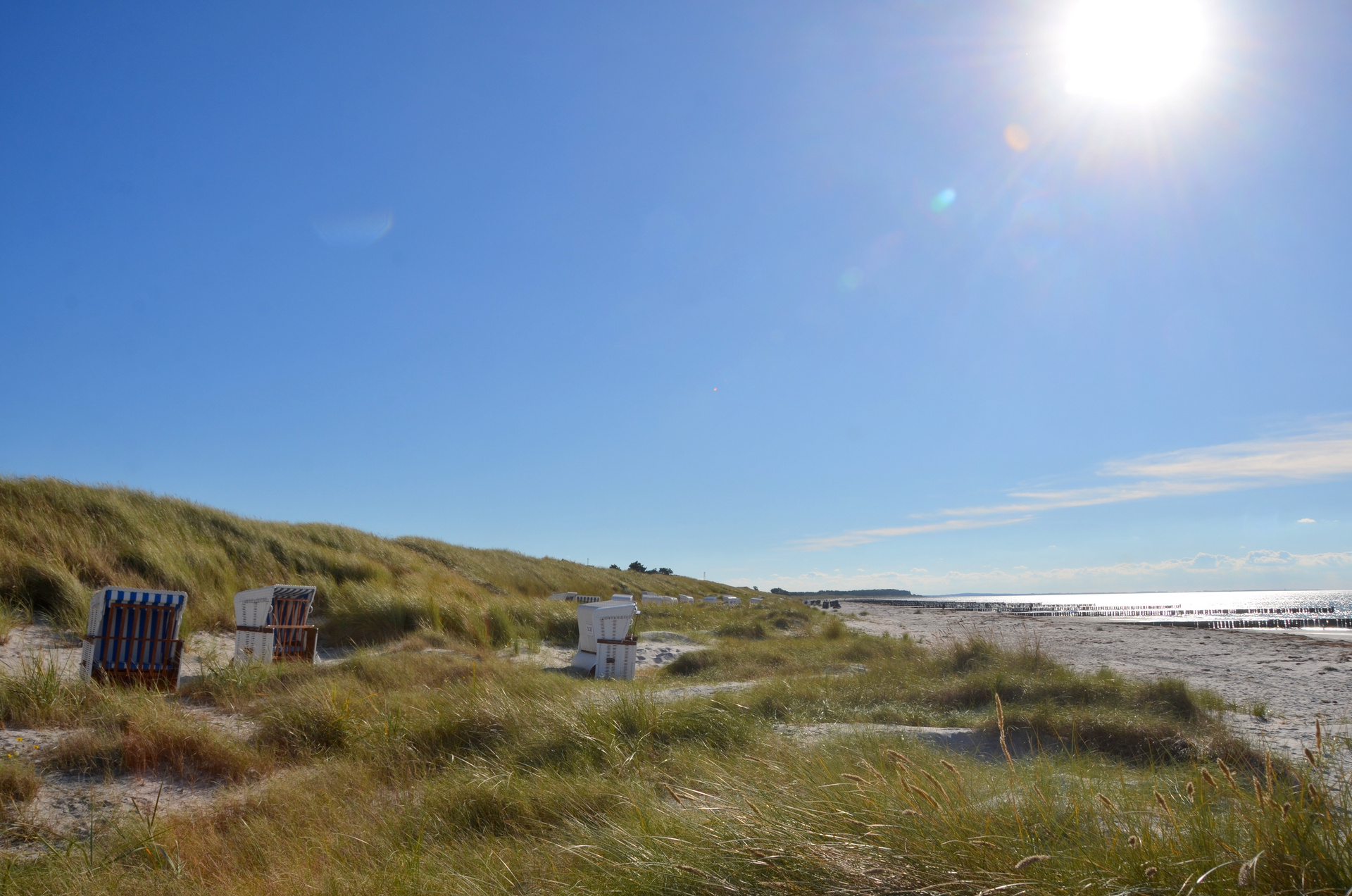 Strandkörbe Oktober 2025