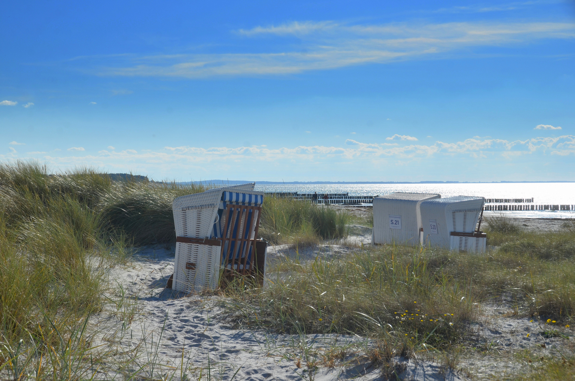 Strandkörbe Oktober 2025