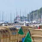 Strandkörbe sind soooo gemütlich (auch für Möwen)