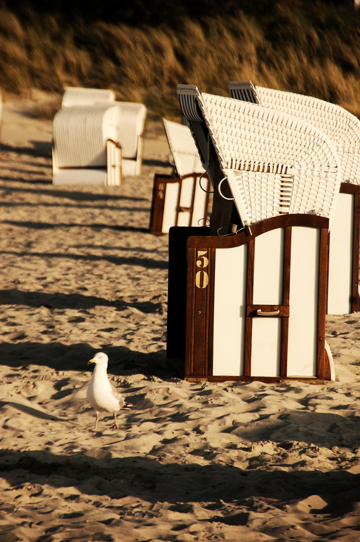 Strandkorb