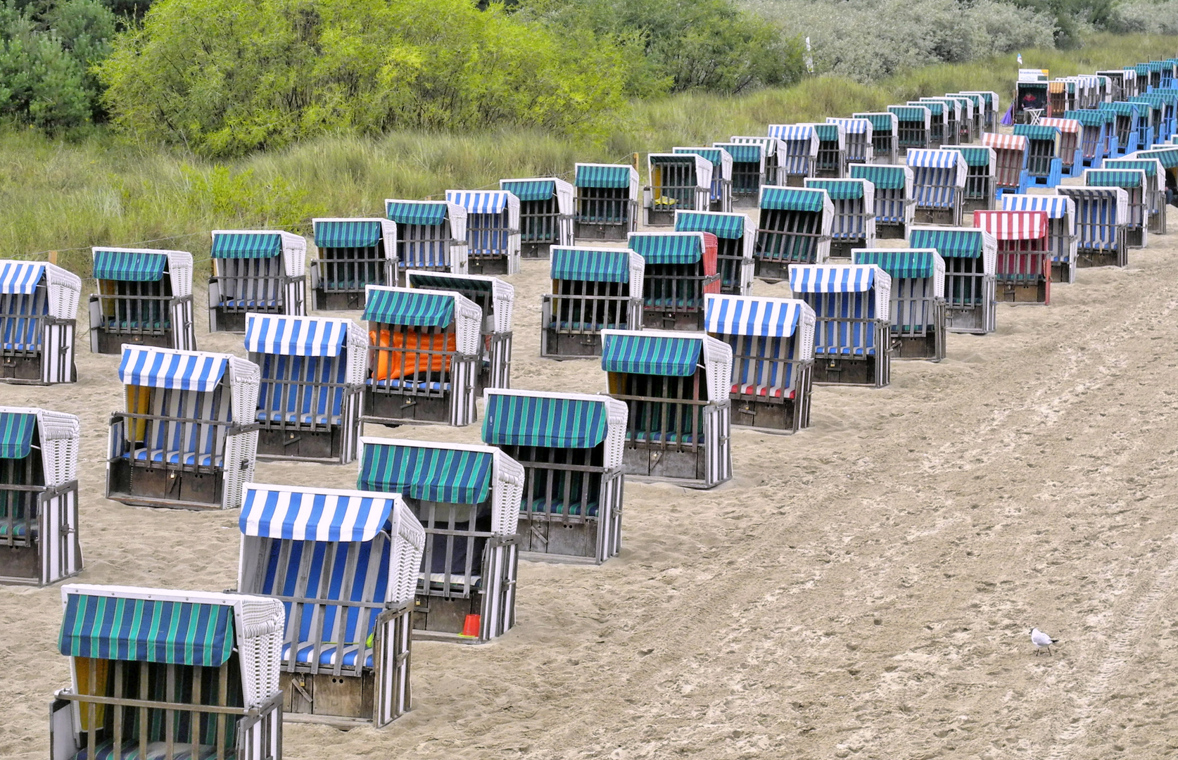 Strandkorb in Reihe