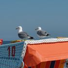 Strandkorb - schon besetzt