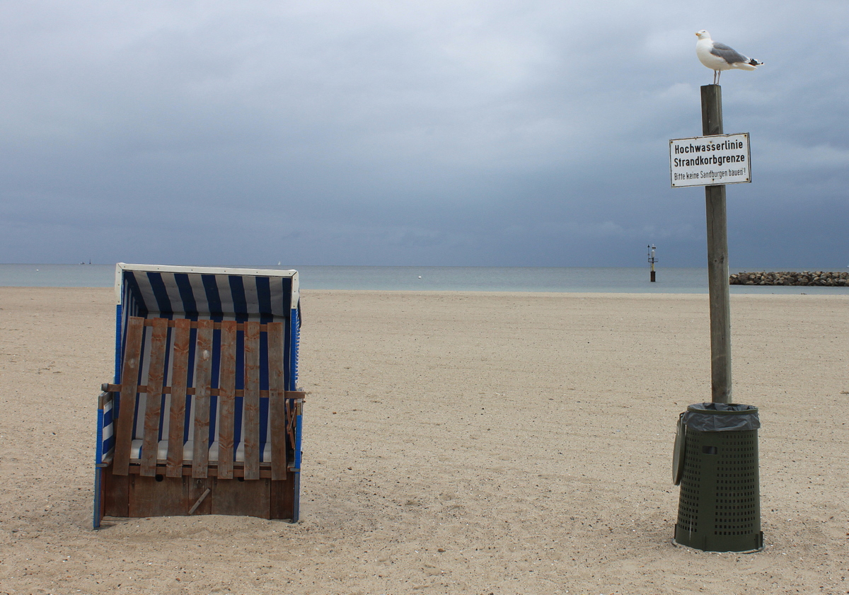 Strandkorb und Möwe