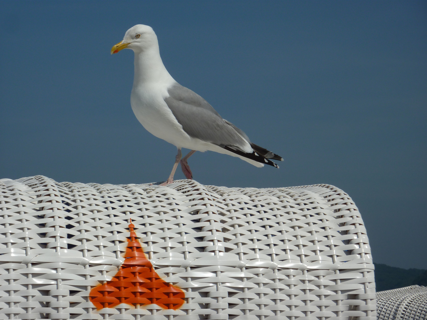 Strandkorbbesucher