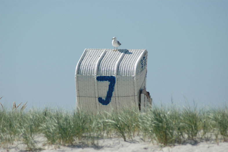 Strandkorbkönig