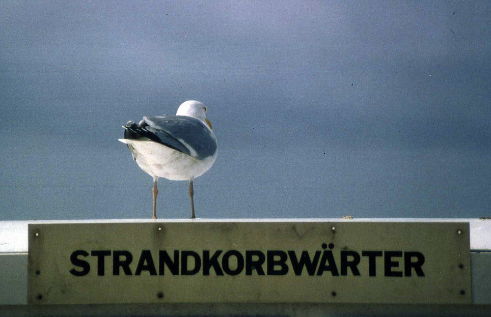 Strandkorbwärter