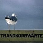 Strandkorbwärter