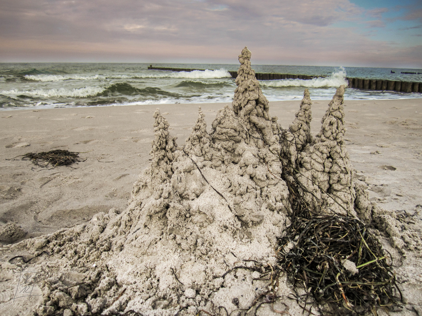 Strandkrone