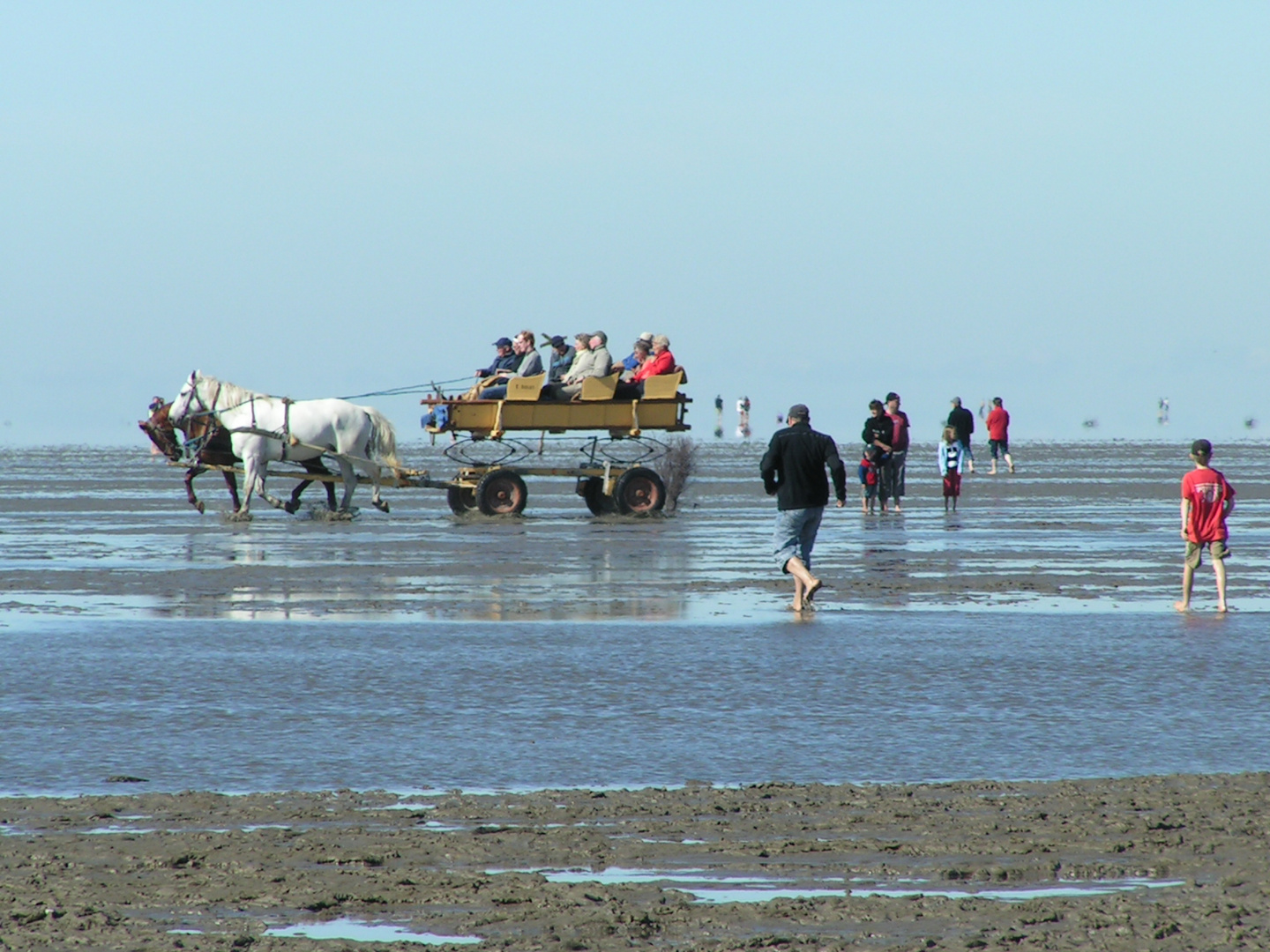 Strandkutschen / Cuxhaven