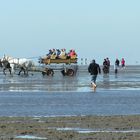 Strandkutschen / Cuxhaven