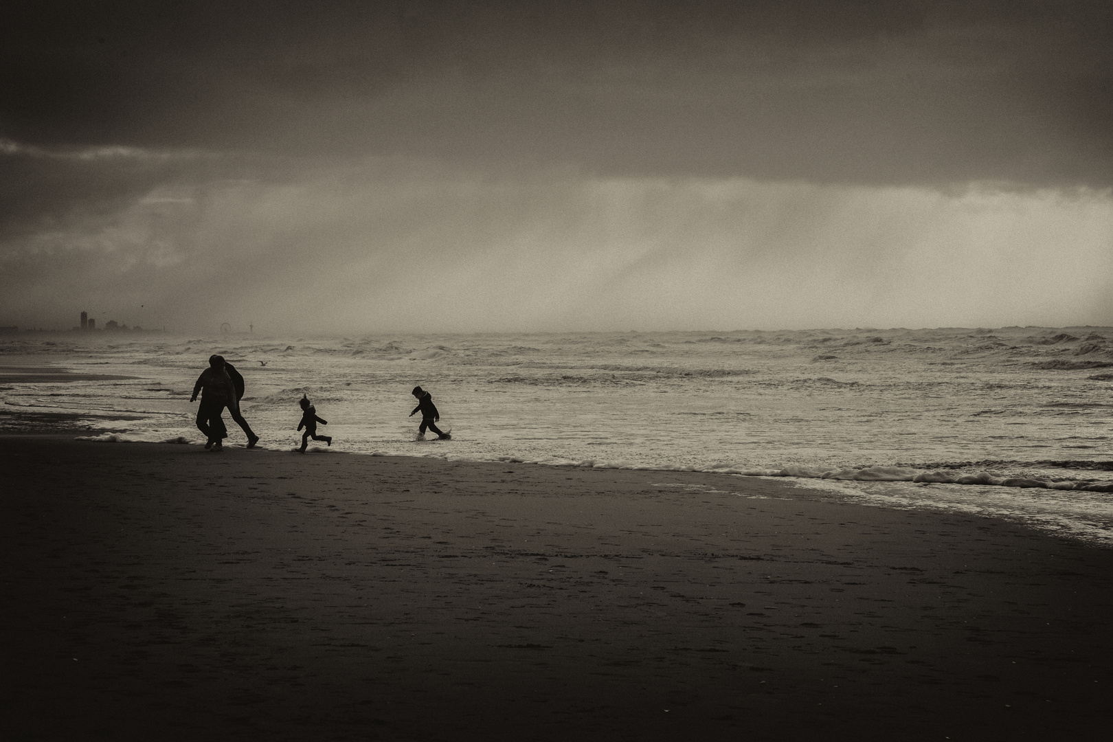 Strandläufer