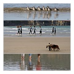 Strandläufer...