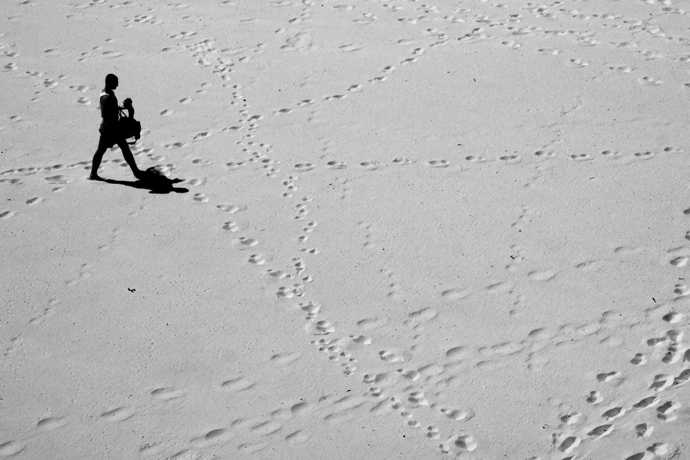 Strandläufer