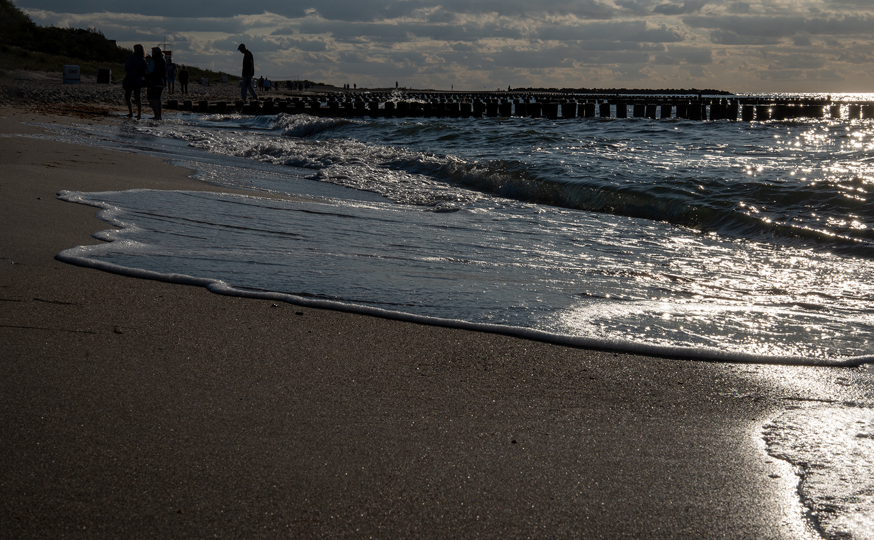 Strandläufer