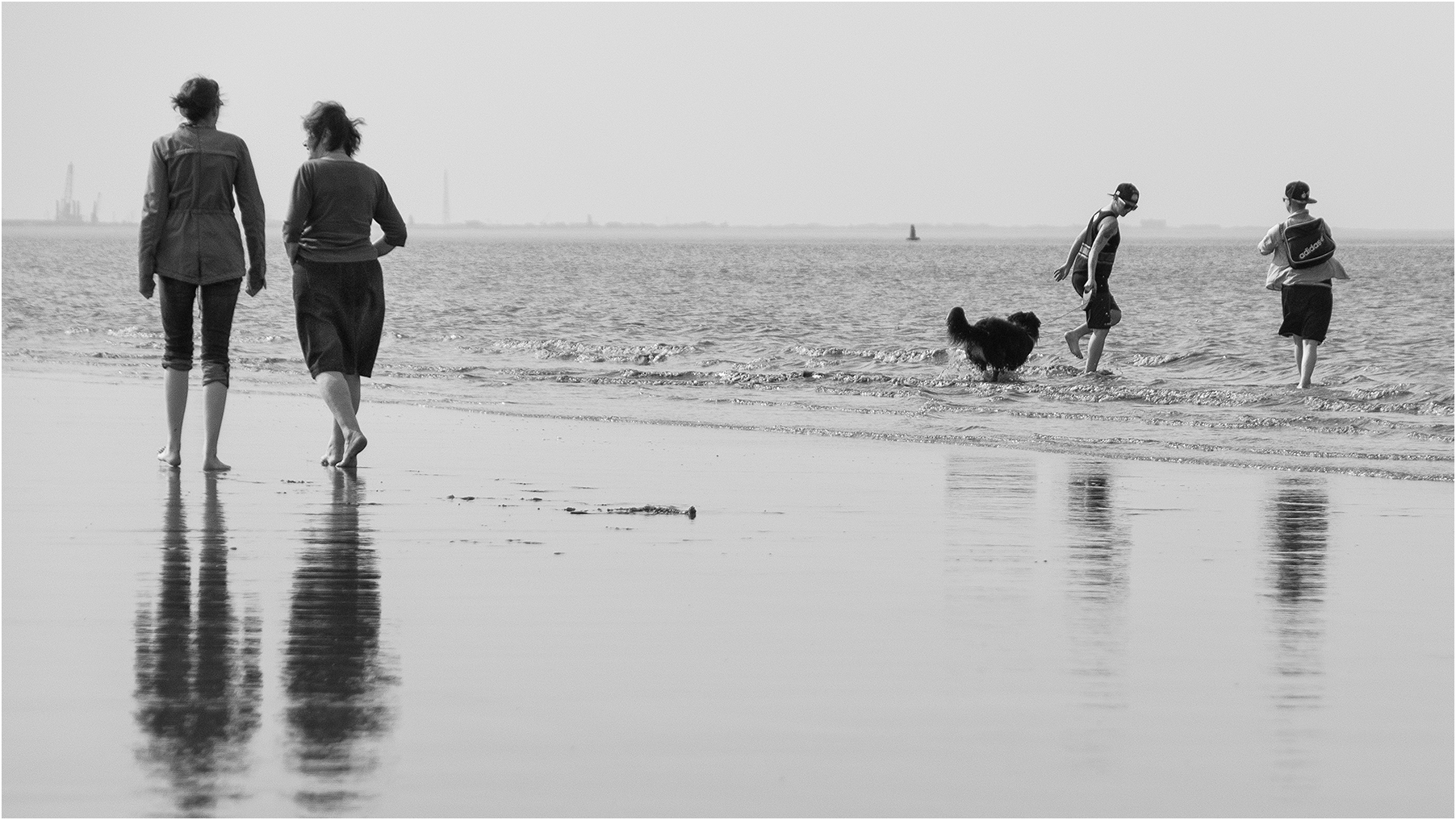 Strandläufer