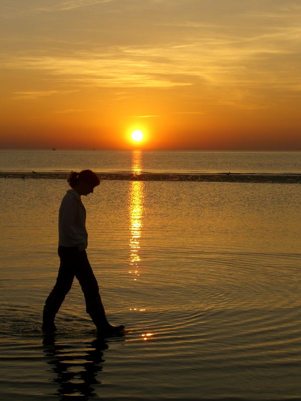 Strandläufer