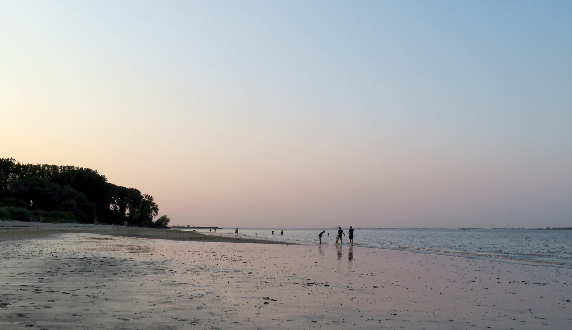 Strandläufer ... 