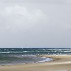 strandläufer....