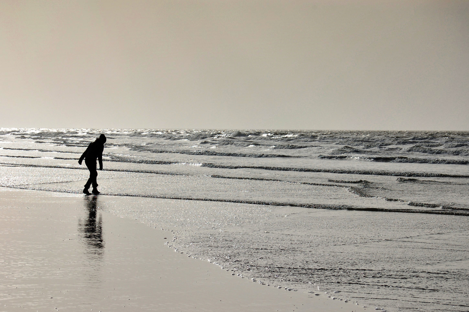 Strandläufer