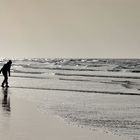 Strandläufer