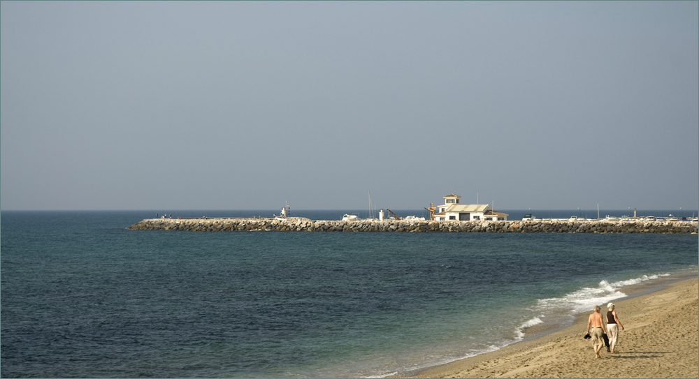 Strandläufer