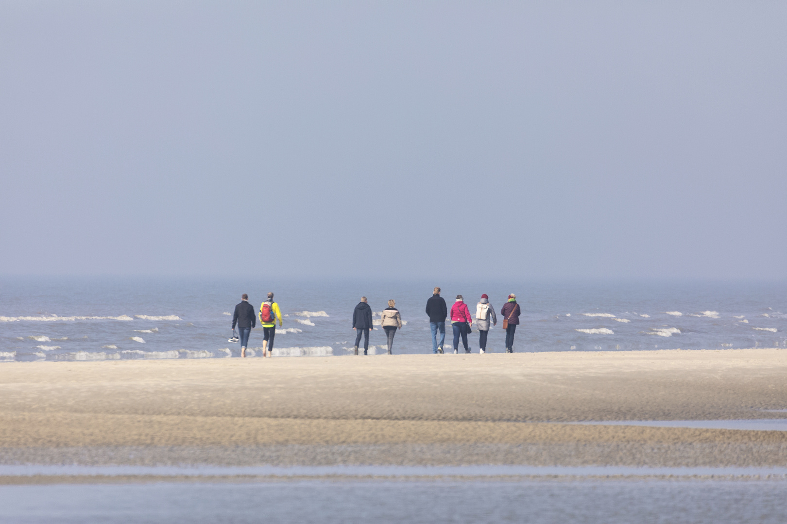 Strandläufer