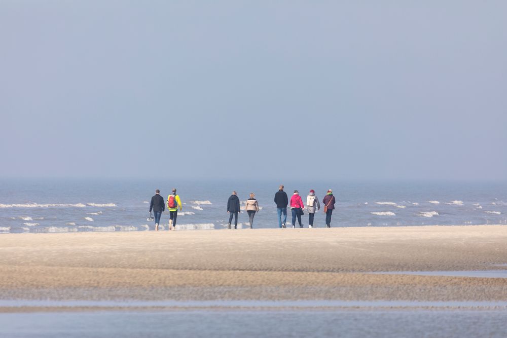 Strandläufer