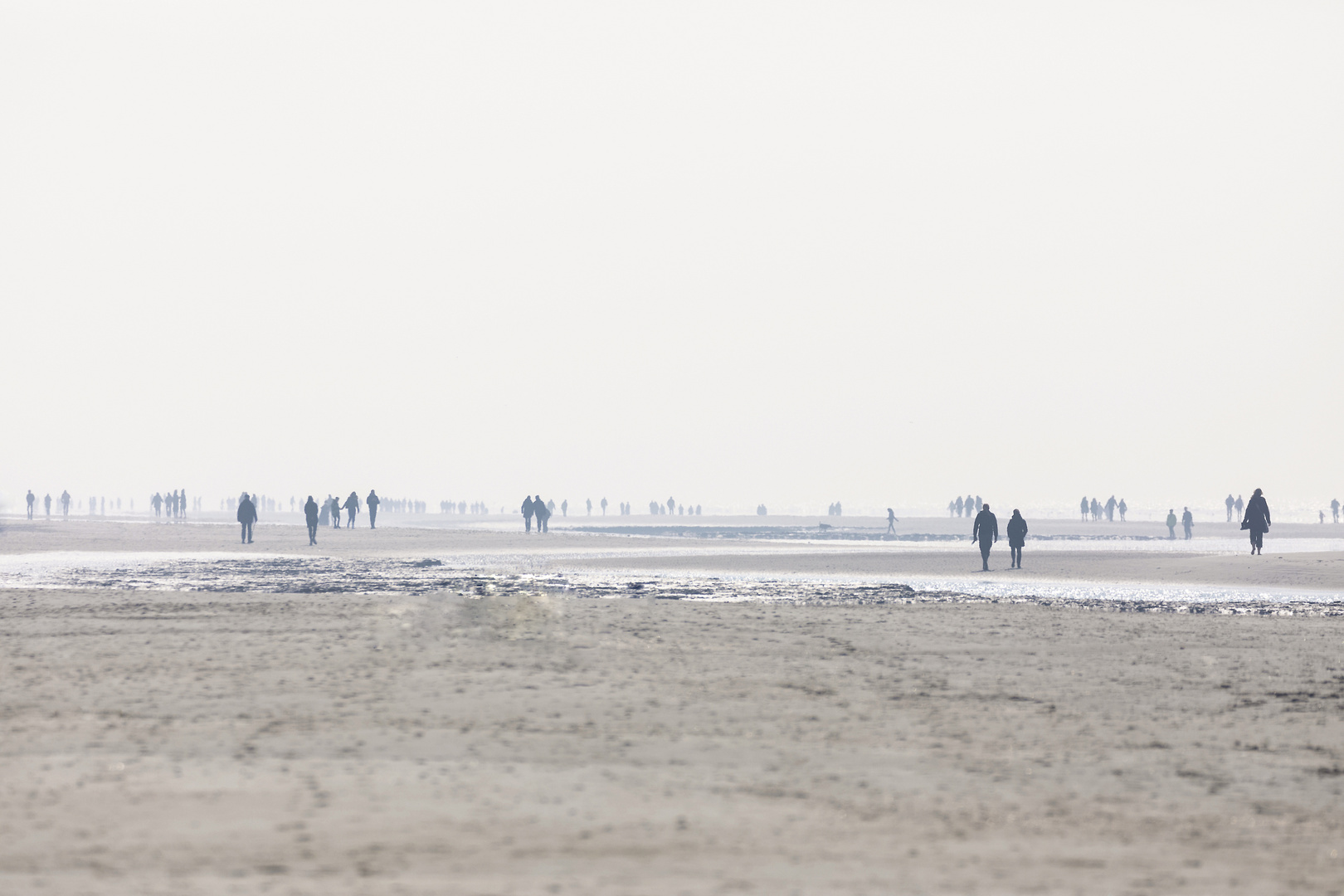 Strandläufer 2