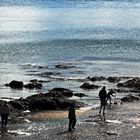 Strandläufer 2 Charlestown (Cornwall)