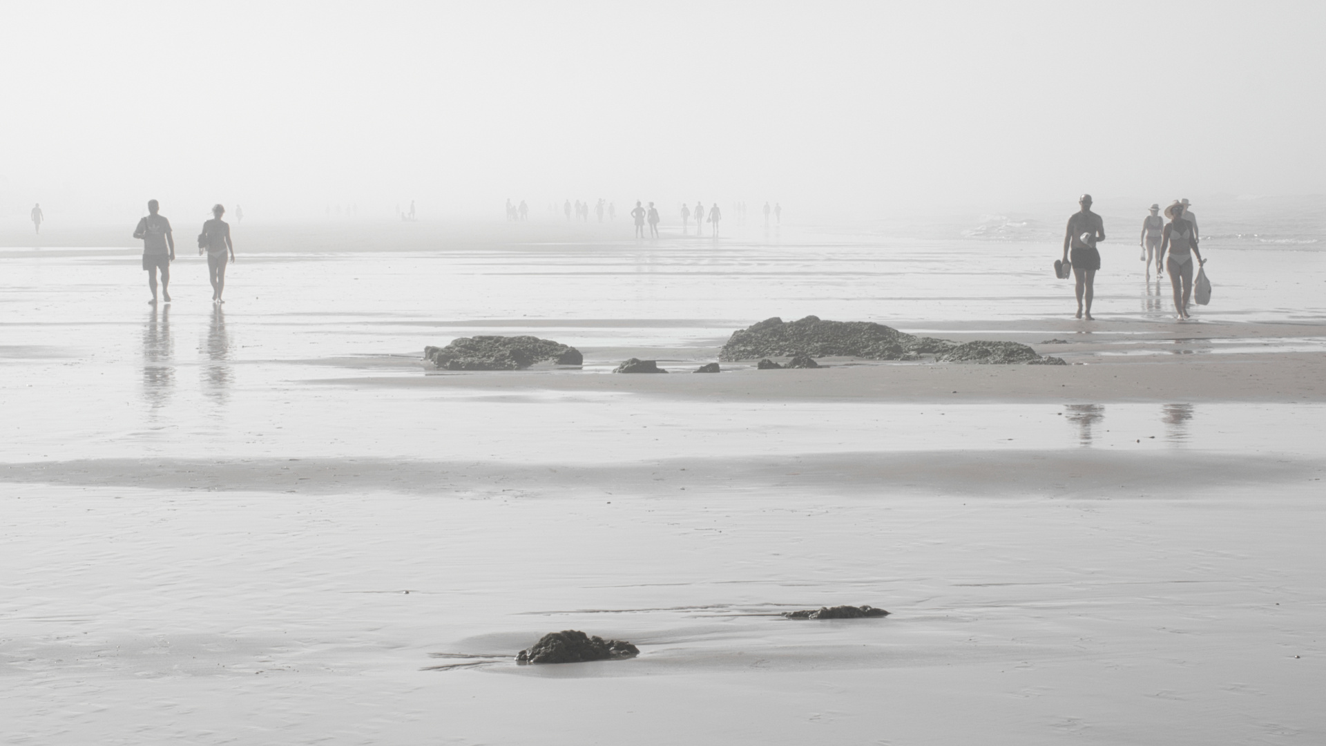 Strandläufer