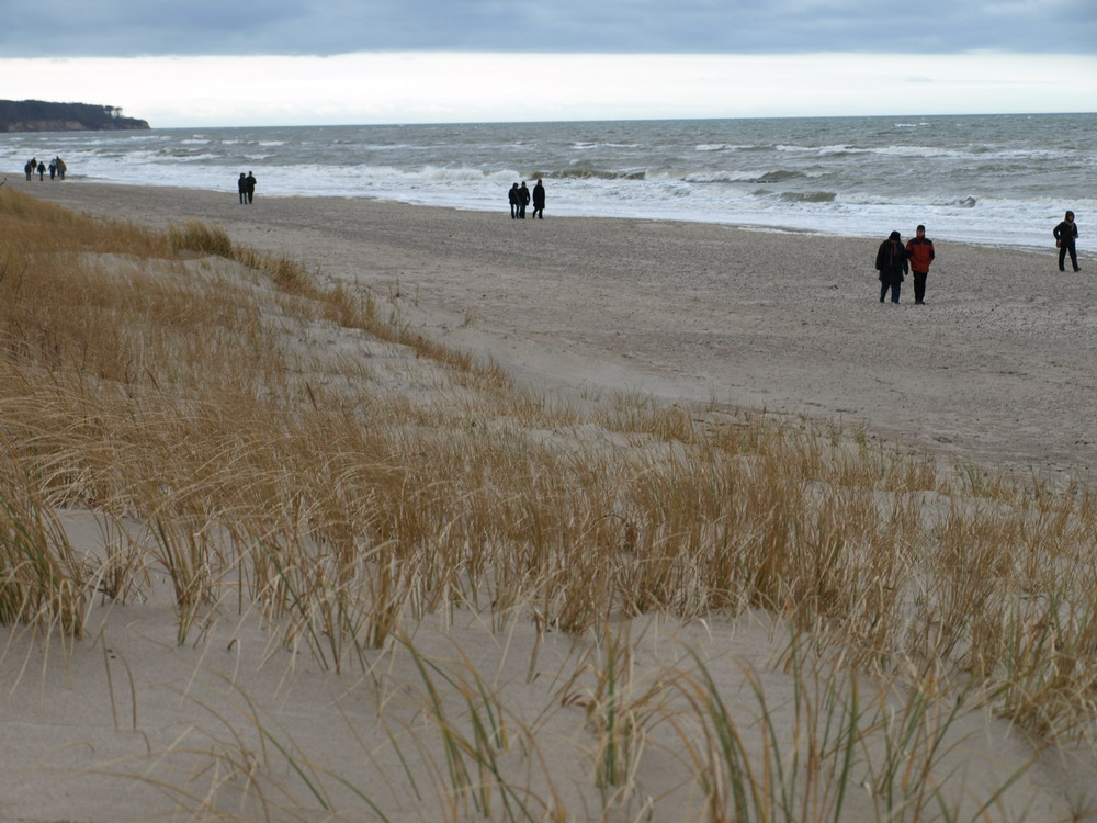 "Strandläufer"