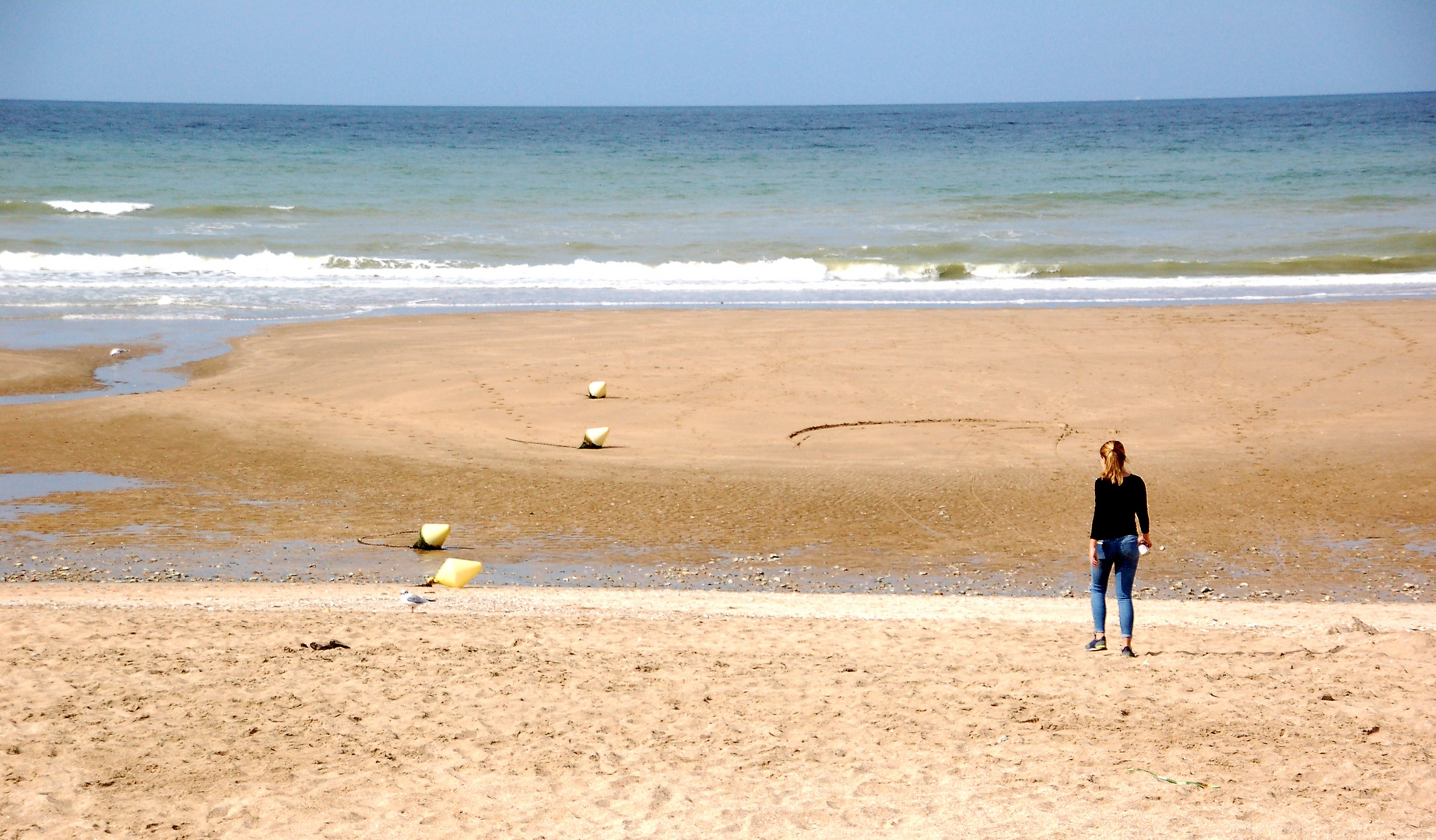 Strandläufer