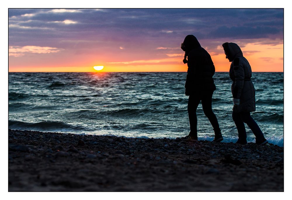 Strandläufer