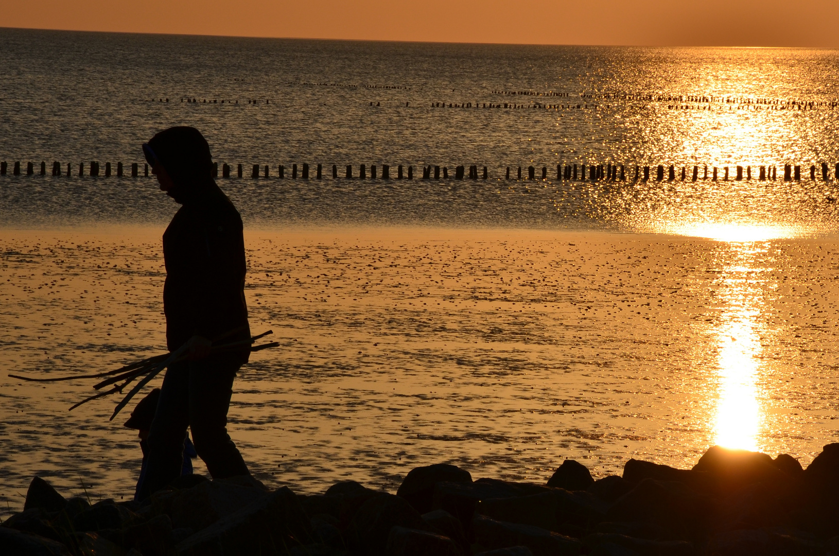 Strandläufer