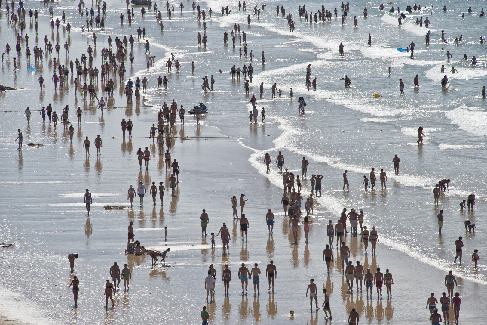 Strandläufer