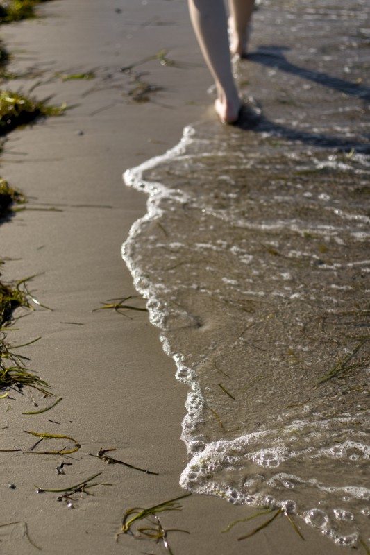 Strandläufer