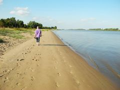 Strandläufer