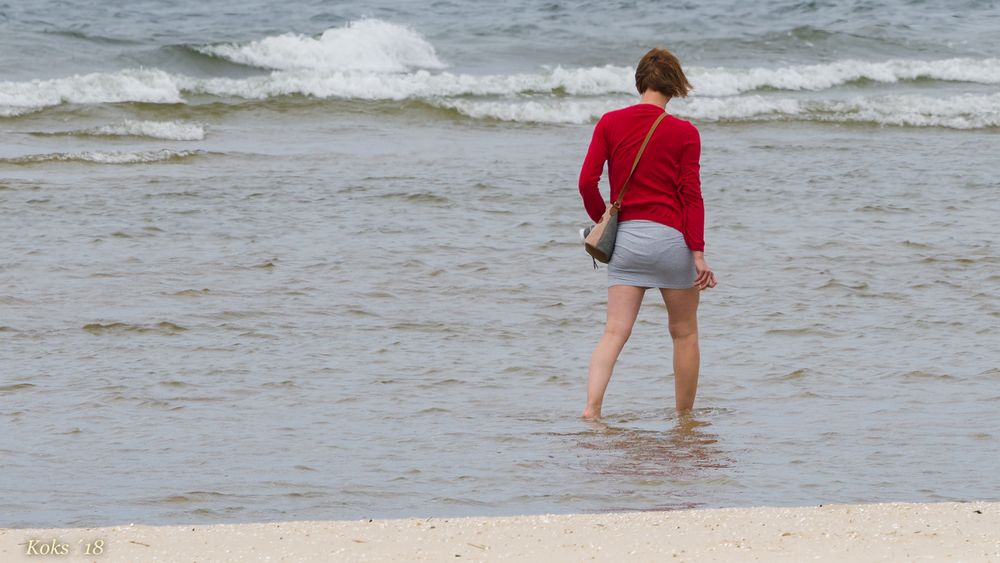 Strandläufer