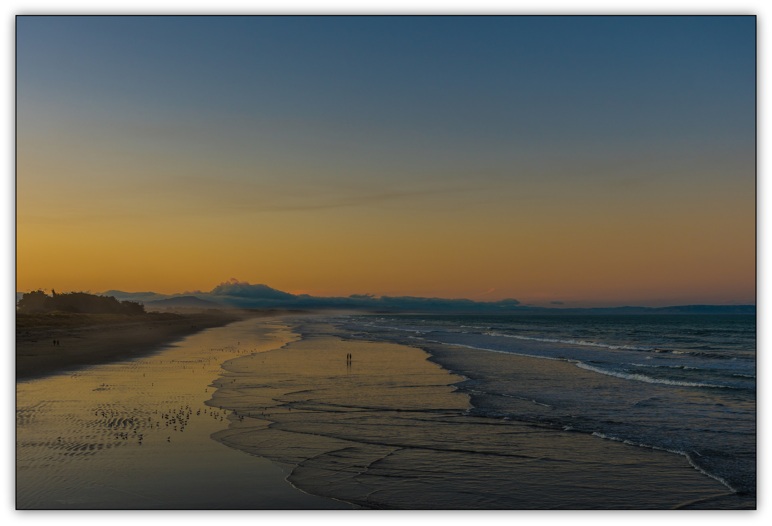 Strandläufer