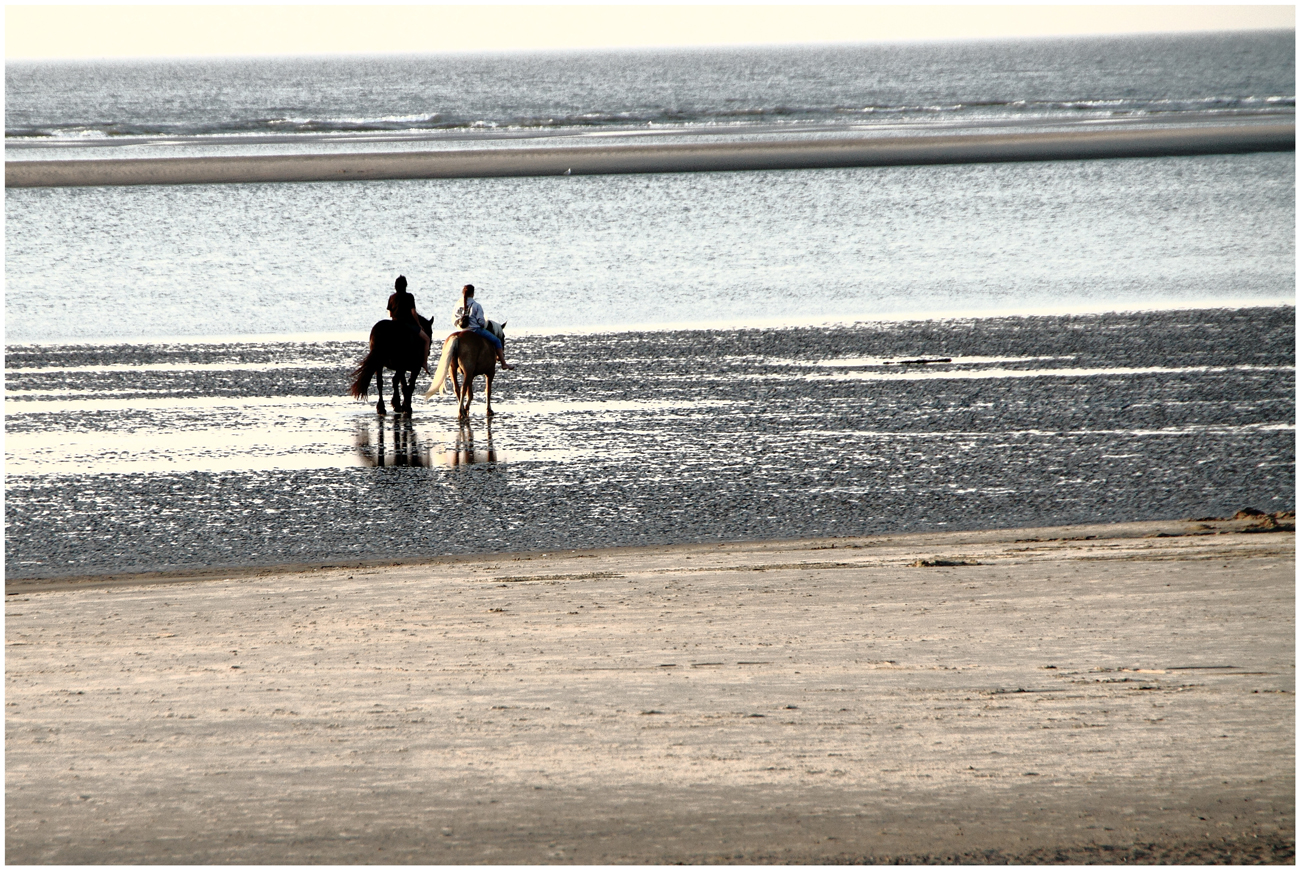 Strandläufer