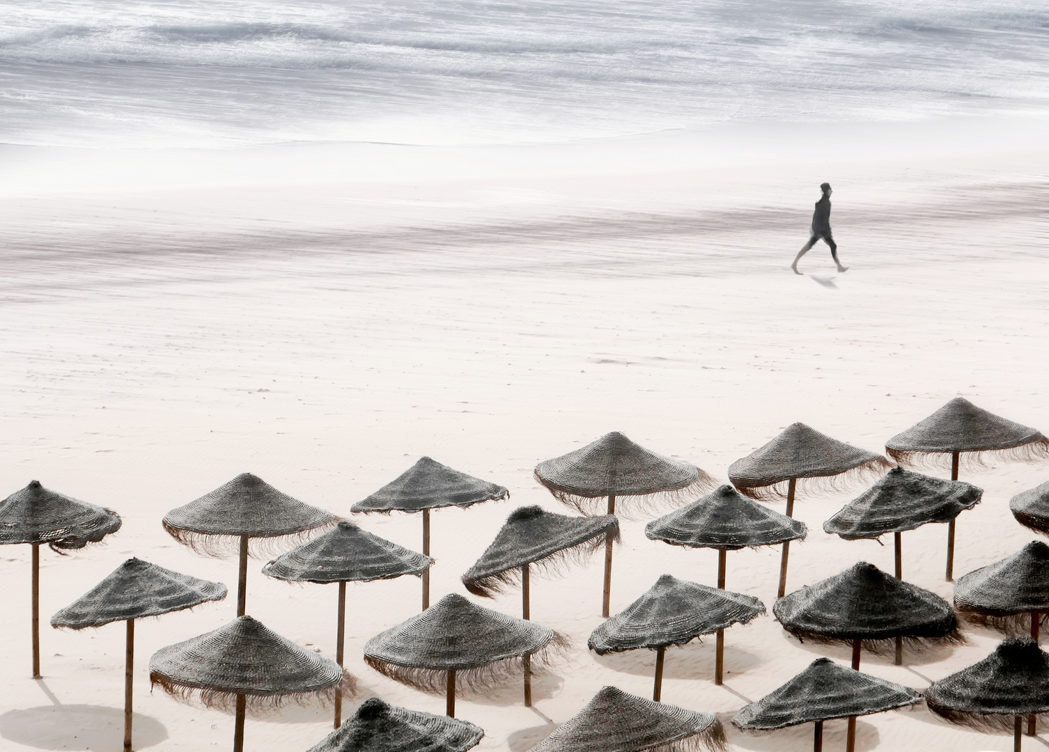 Strandläufer