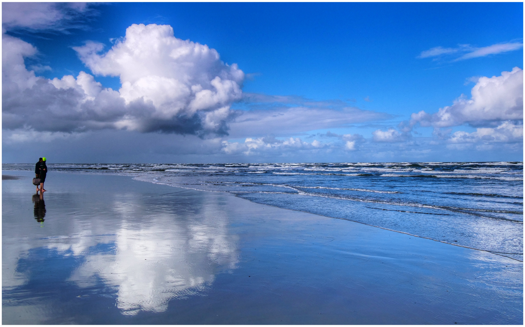 Strandläufer