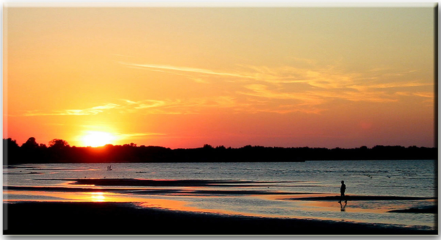 Strandläufer