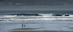 Strandläufer...