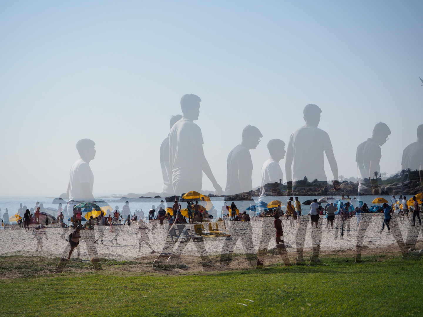 Strandläufer